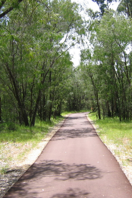 Dalyellup walkway